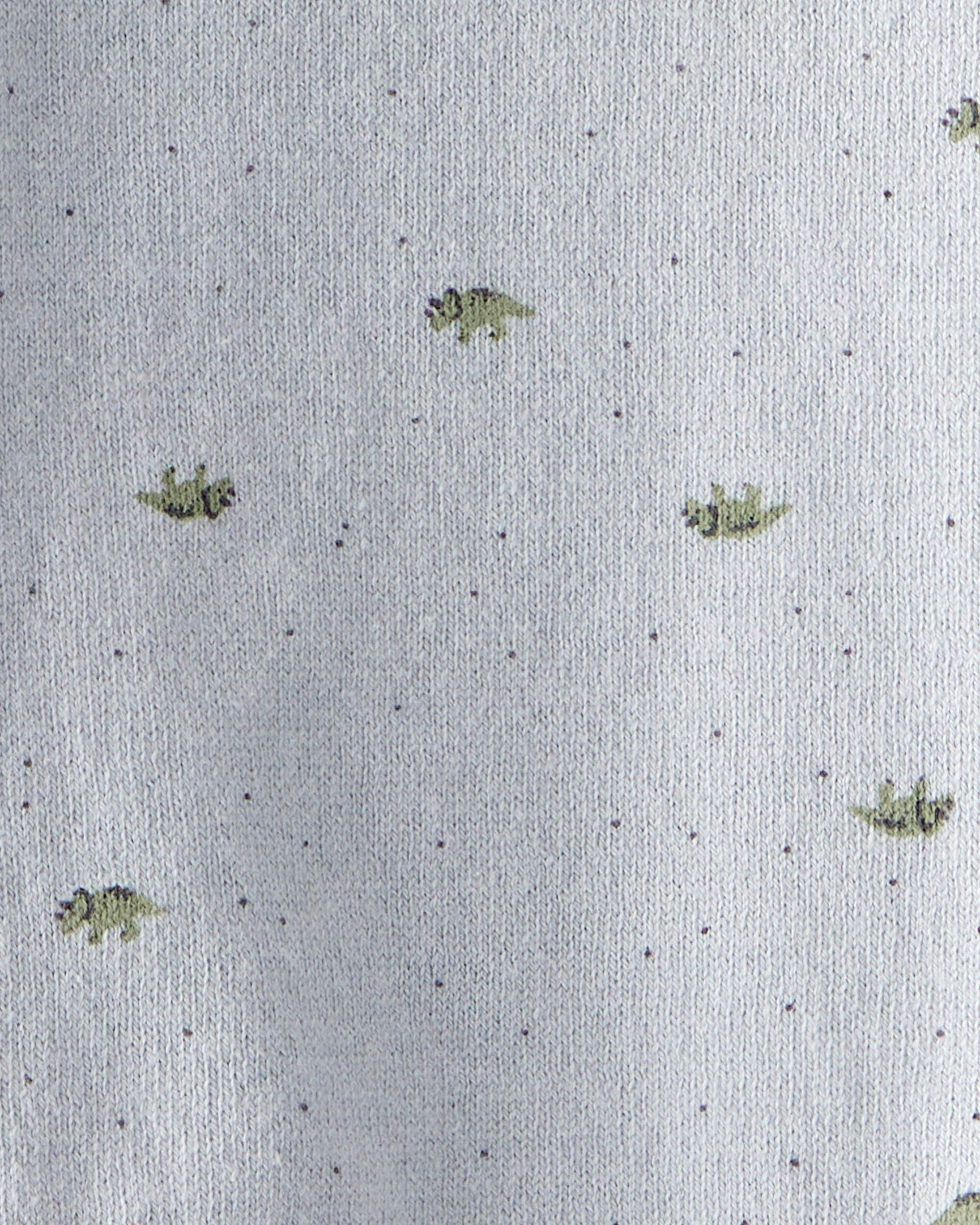 Carter's Baby Boy Dinosaur Print Cotton Long-Sleeve Tee & Pant Set - Blue